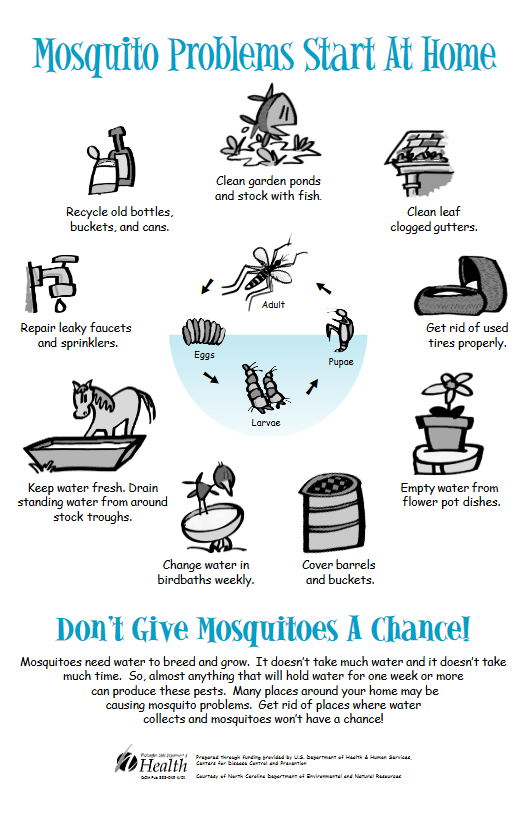Mosquito problems start at home