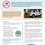 Mosquito Larvicide Treatments Fact Sheet